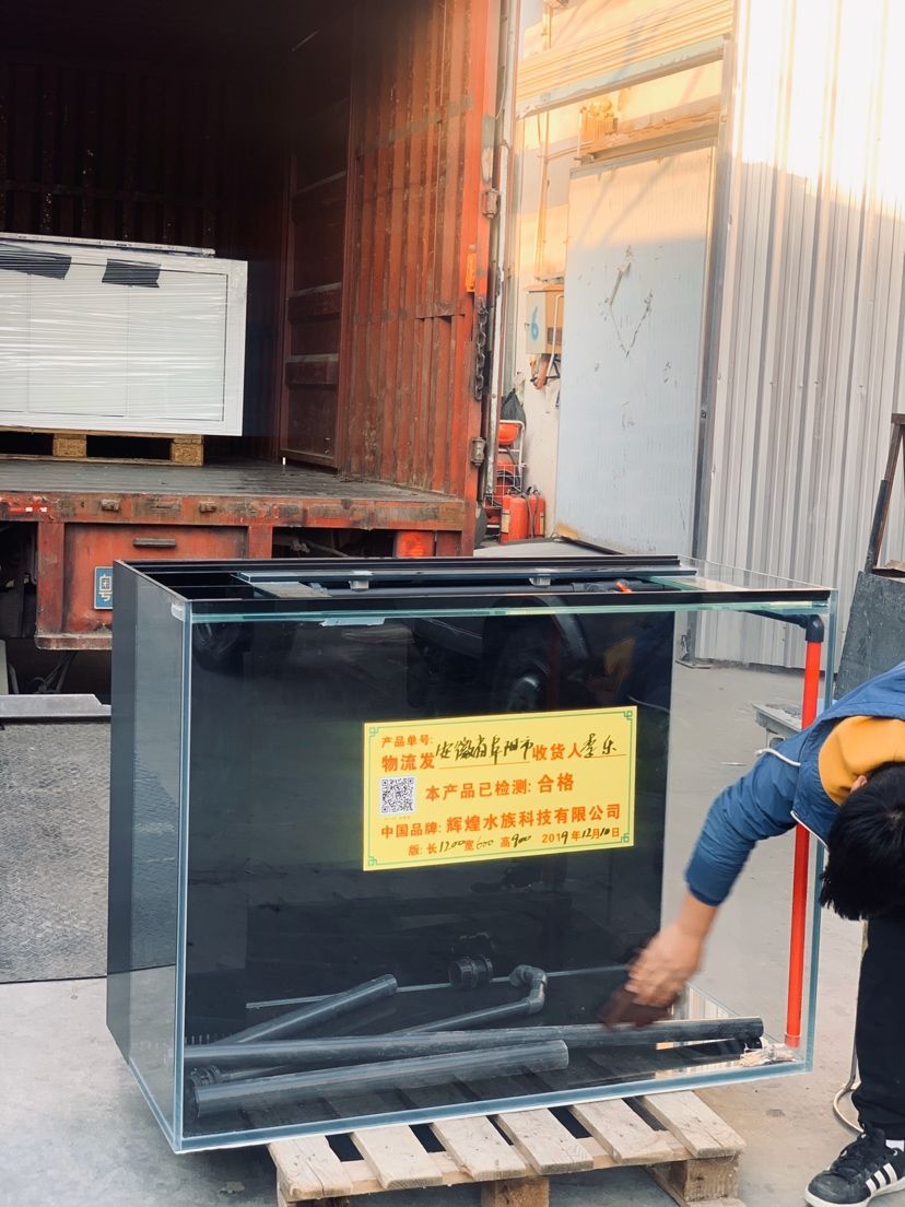 本溪魚缸維護（上海哪個花鳥市場熱帶魚多些）（上海本溪魚缸維護與上海花鳥市場熱帶魚比較）
