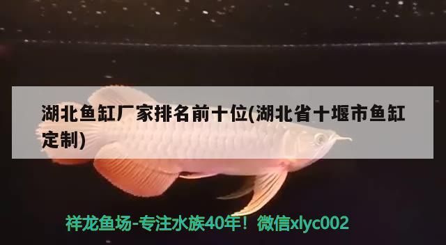 湖北魚缸廠家排名前十位(湖北省十堰市魚缸定制)（中國十大魚缸品牌排名）