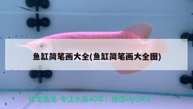 魚缸簡筆畫大全(魚缸簡筆畫大全圖)（幼兒園魚缸簡筆畫大全）