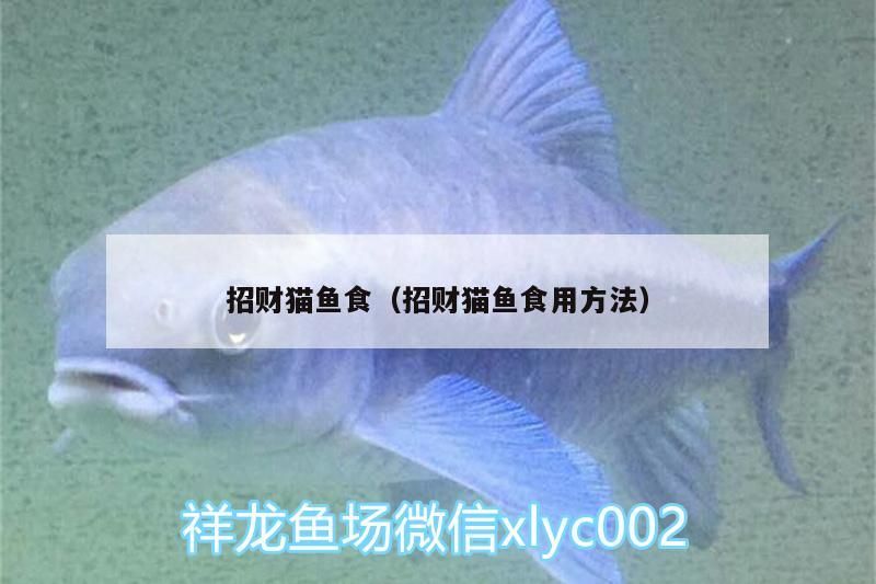 招財貓魚食（招財貓魚食用方法）（招財貓魚吃什么魚食）