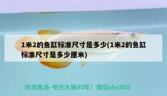 1米2的魚缸標準尺寸是多少(1米2的魚缸標準尺寸是多少厘米)（1米2的魚缸標準尺寸是多少）