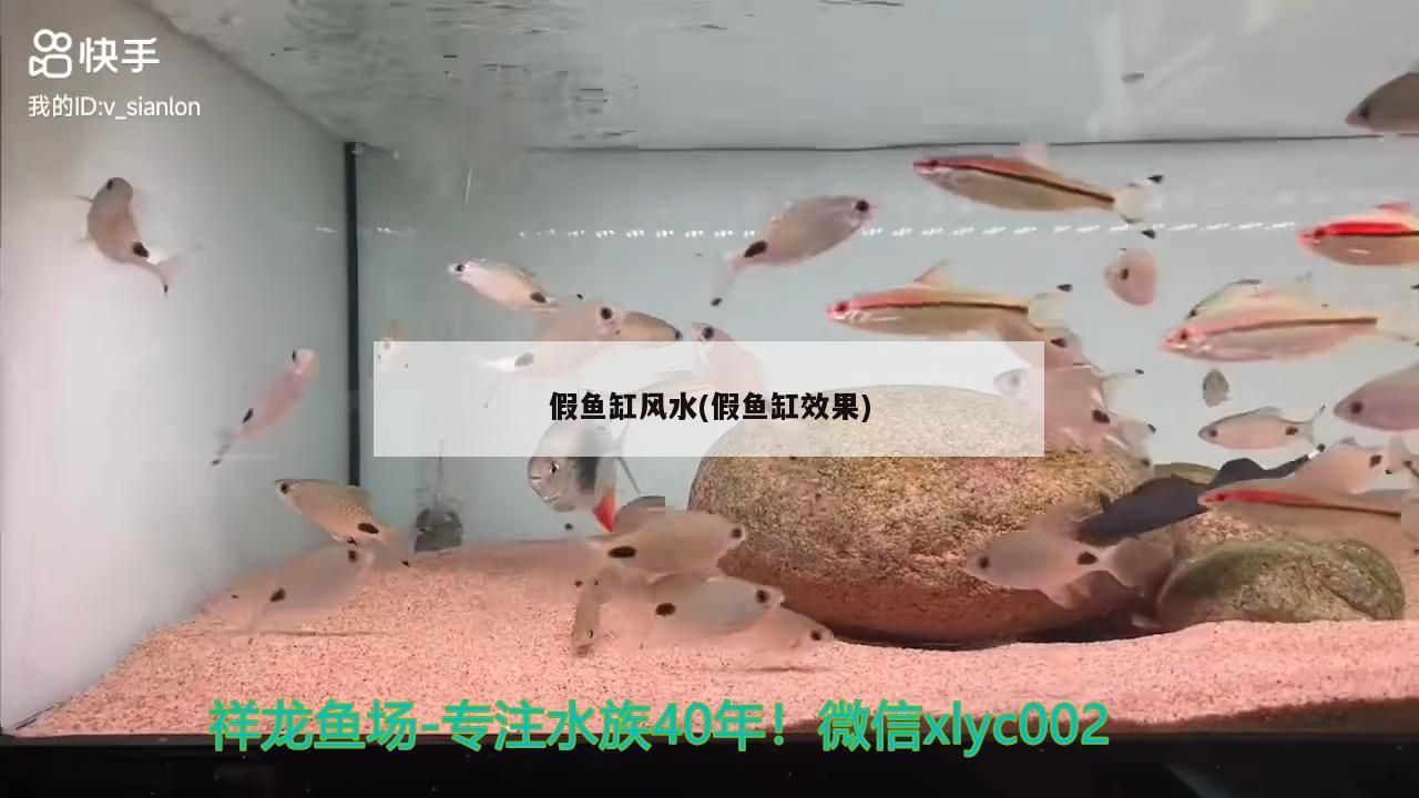 假魚缸風水(假魚缸效果)（家中金魚缸擺放風水位置的擺放風水位置有什么注意事項）