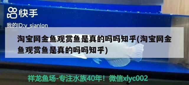 淘寶網(wǎng)金魚觀賞魚是真的嗎嗎知乎(淘寶網(wǎng)金魚觀賞魚是真的嗎嗎知乎)（關(guān)于淘寶網(wǎng)金魚觀賞魚是真的嗎？）