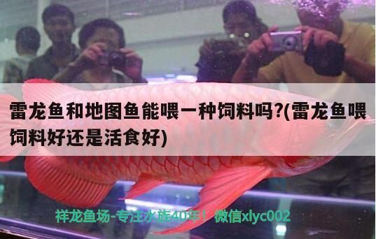 雷龍魚和地圖魚能喂一種飼料嗎?(雷龍魚喂飼料好還是活食好)（雷龍魚和地圖魚能喂一種飼料嗎雷龍魚和地圖魚能喂一種飼料嗎）