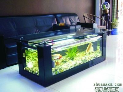 龍魚跳缸是什么原因呢怎么解決（龍魚跳缸是什么原因呢怎么解決視頻）（龍魚跳缸是什么原因）