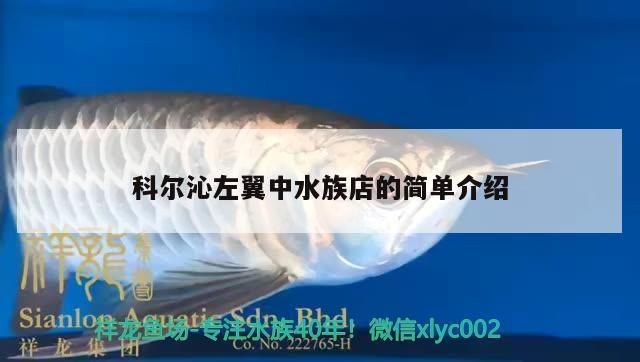 科爾沁左翼中水族店的簡單介紹（上海科爾沁左翼中水族店（科爾沁左翼中水族店）目錄一覽）