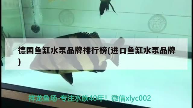 德國魚缸水泵品牌排行榜(進口魚缸水泵品牌)（德國進口魚缸水泵品牌排行榜）