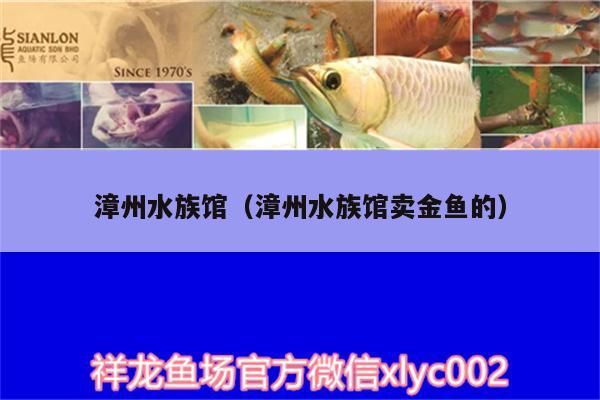 漳州水族館（漳州水族館賣金魚的）（廈門旅游攻略之漳州水族館）