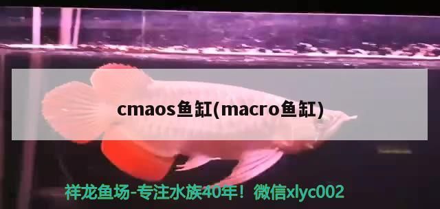 cmaos魚缸(macro魚缸)（a訪問不到cpumacro魚缸）