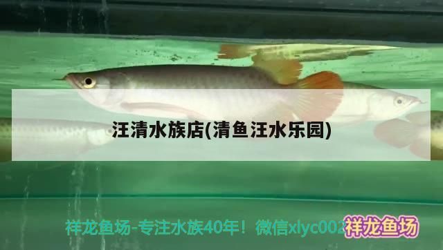 汪<strong><mark>清水</mark></strong>族店(清魚汪水樂園)（東莞汪<strong><mark>清水</mark></strong>族店和清魚汪水樂園的專業市場介紹到此就結束了）