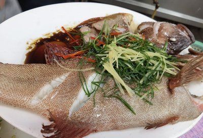 杜龍魚生活在哪里(杜龍魚主要棲息在咸淡水交界的入海口處的復(fù)雜生態(tài)環(huán)境) 觀賞魚百科 第5張 杜龍魚生活在哪里(杜龍魚主要棲息在咸淡水交界的入海口處的復(fù)雜生態(tài)環(huán)境) 杜龍魚生活在哪里(杜龍魚主要棲息在咸淡水交界的入海口處的復(fù)雜生態(tài)環(huán)境) 觀賞魚百科 第5張