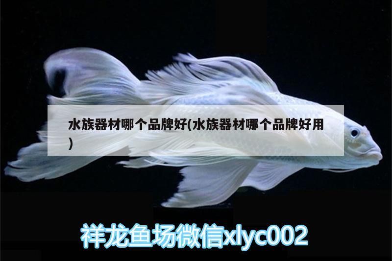 <strong><mark>水族器材</mark></strong>哪個品牌好(<strong><mark>水族器材</mark></strong>哪個品牌好用)（<strong><mark>水族器材</mark></strong>十大品牌）