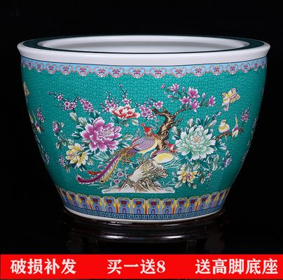 吉龍魚缸哪生產的最好用（吉龍魚缸哪生產的最好用呢）（吉龍魚缸哪生產的最好用）