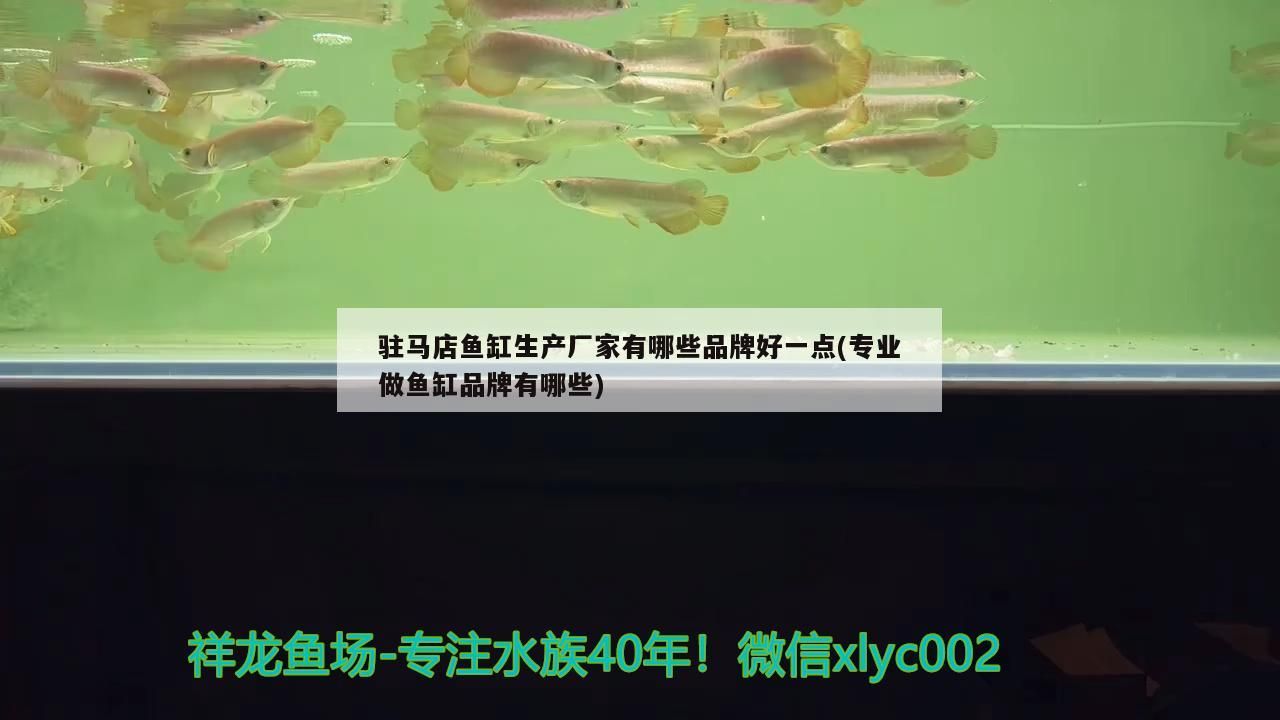 駐馬店魚缸生產(chǎn)廠家有哪些品牌好一點(diǎn)(專業(yè)做魚缸品牌有哪些)（駐馬店魚缸生產(chǎn)廠家）