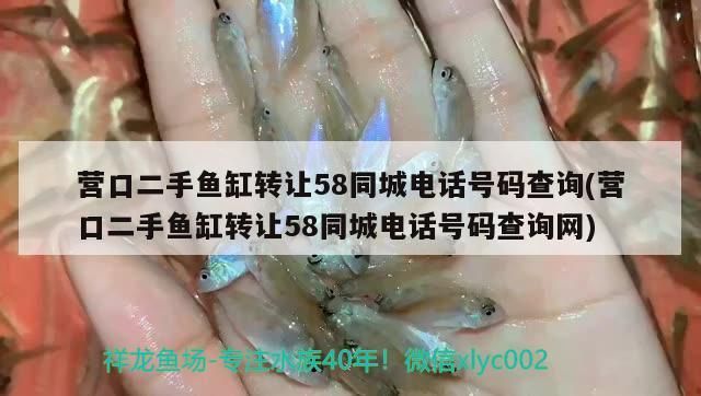 營口二手魚缸轉讓58同城電話號碼查詢(營口二手魚缸轉讓58同城電話號碼查詢網)（營口二手魚缸轉讓58同城電話號碼查詢）