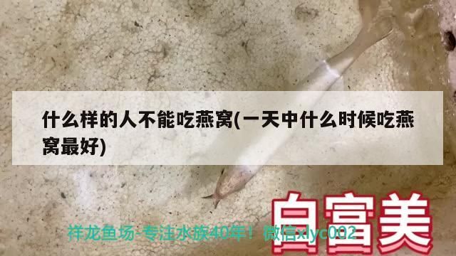 寧德觀賞魚養殖企業名單查詢(寧德觀賞魚養殖企業名單查詢電話)（寧德市觀賞魚養殖企業名單查詢）