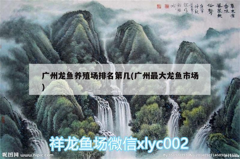 廣州龍魚養殖場排名第幾(廣州最大龍魚市場)（廣州龍魚養殖場排名）