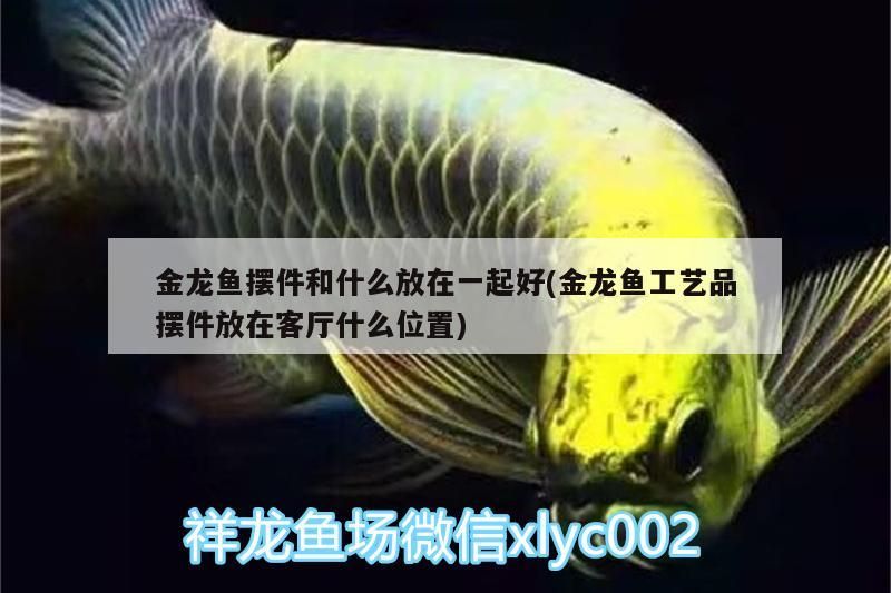 金龍魚擺件和什么放在一起好(金龍魚工藝品擺件放在客廳什么位置)（金龍魚擺件和什么擺放一起好？） 金龍魚擺件和什么放在一起好(金龍魚工藝品擺件放在客廳什么位置)（金龍魚擺件和什么擺放一起好？） 觀賞魚百科