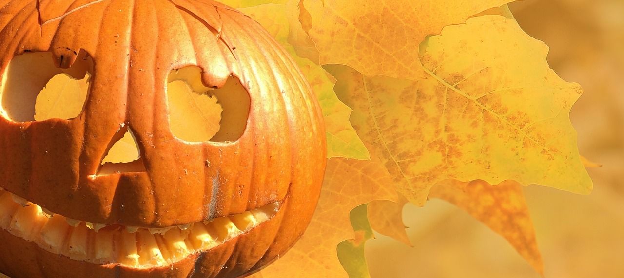 red紅龍官網(wǎng)（紅龍官方網(wǎng)站）（red紅龍官方網(wǎng)站）