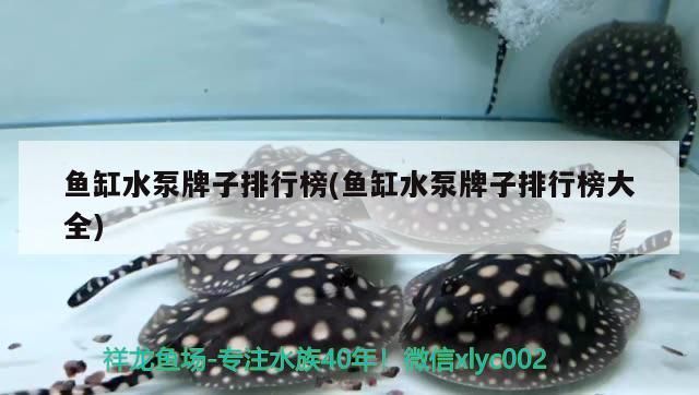 魚缸水泵牌子排行榜(魚缸水泵牌子排行榜大全)（2022年魚缸水泵十大品牌排行榜）