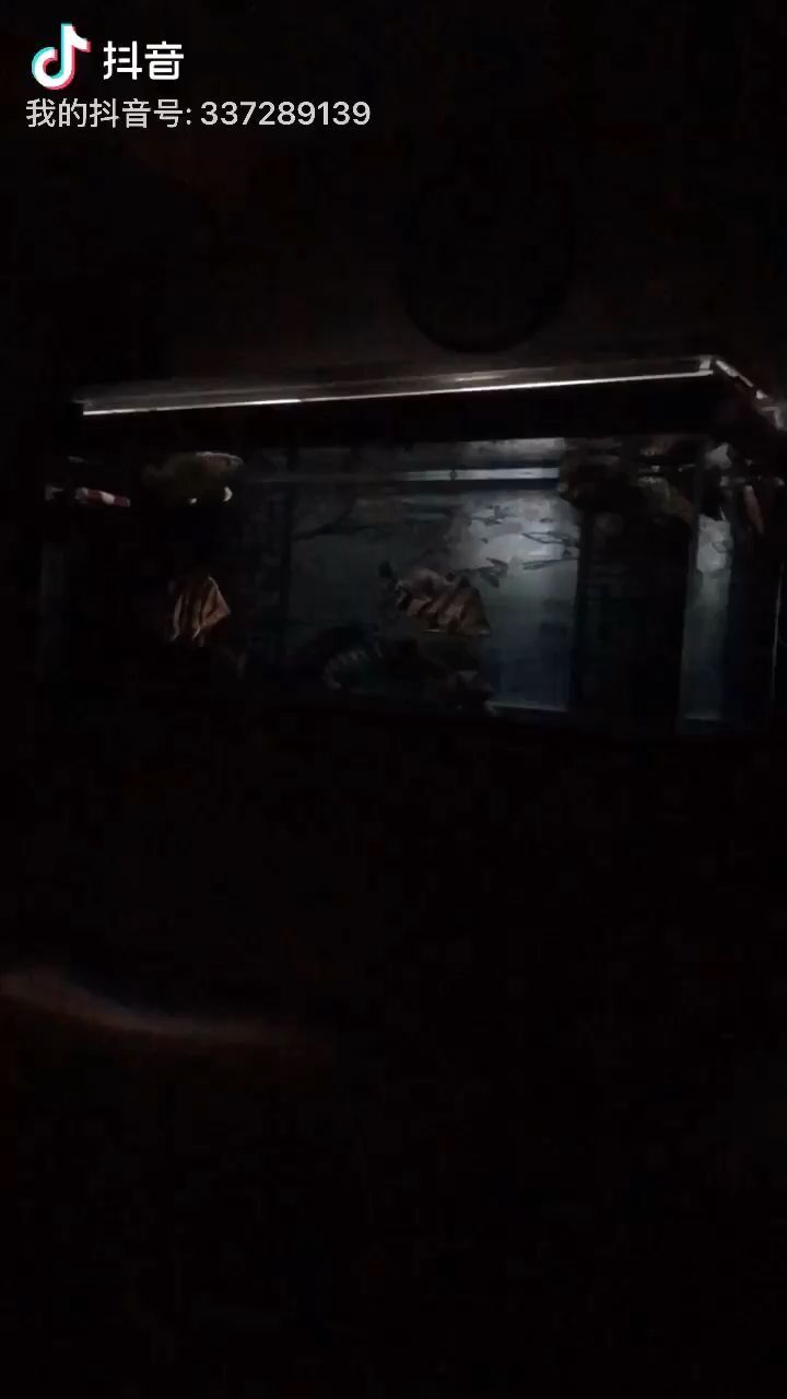 兗州哪里有賣魚缸的店（兗州哪里有賣魚缸的店啊）（東莞哪里有賣魚缸的店）