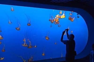 渭南水族館：渭南水族館住宿體驗(yàn)可麗愛水族館住宿體驗(yàn)可麗愛水族館