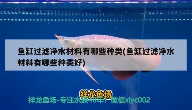 給大魚缸換水的作文:體驗給大魚缸換水的樂趣:體驗給大魚缸換水:給大魚缸換水的作文 魚缸過濾凈水材料有哪些種類(魚缸過濾凈水材料有哪些種類好)(魚缸過濾凈水材料) 觀賞魚百科 魚缸過濾凈水材料有哪些種類(魚缸過濾凈水材料有哪些種類好)(魚缸過濾凈水材料) 魚缸過濾凈水材料有哪些種類(魚缸過濾凈水材料有哪些種類好)(魚缸過濾凈水材料) 觀賞魚百科
