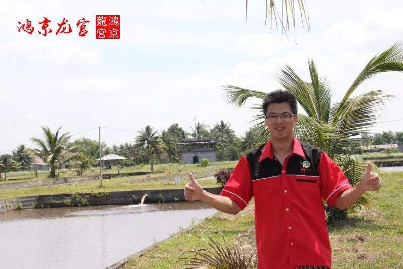 一龍一神話九洲育傳奇（一龍一神話九洲育傳奇印尼鴻京龍宮(紅龍)養(yǎng)殖場）