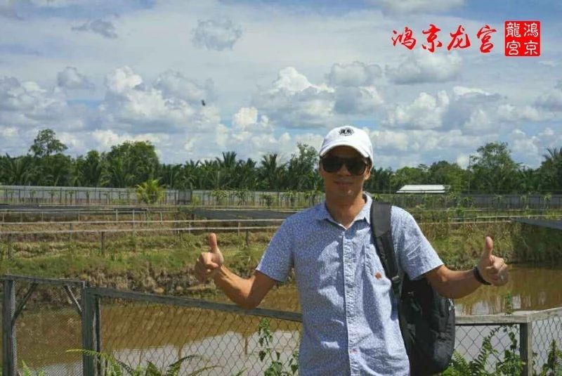 一龍一神話九洲育傳奇（一龍一神話九洲育傳奇印尼鴻京龍宮(紅龍)養(yǎng)殖場）