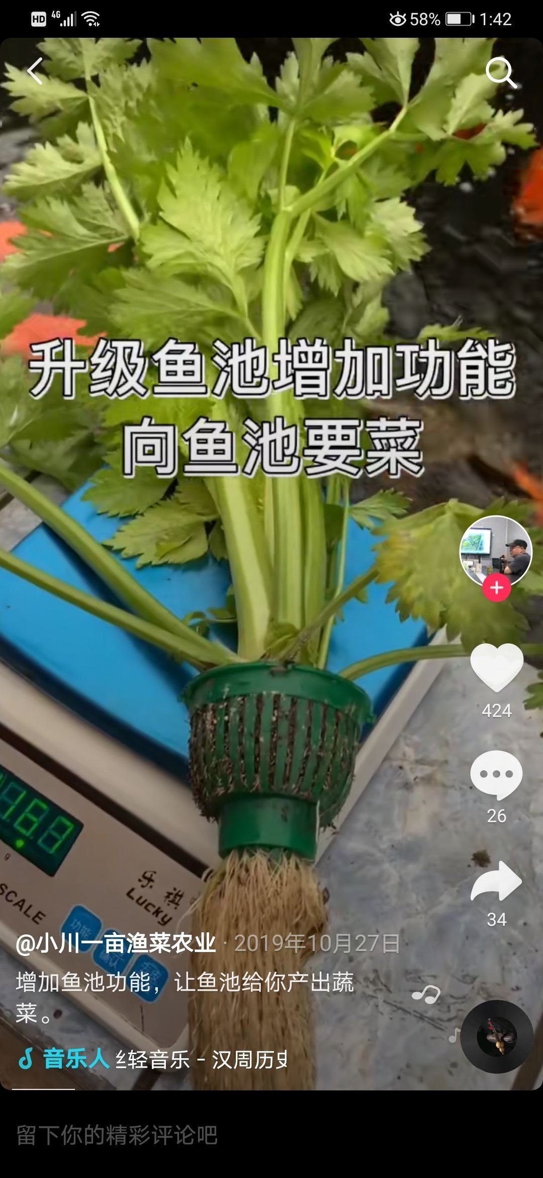 瞎做的樓頂小池（瞎做的樓頂小池，本文探討了個人在樓頂建造小型水景的實踐活動）