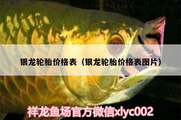 銀龍輪胎價格表（銀龍輪胎價格表圖片）（銀龍輪胎價格表）