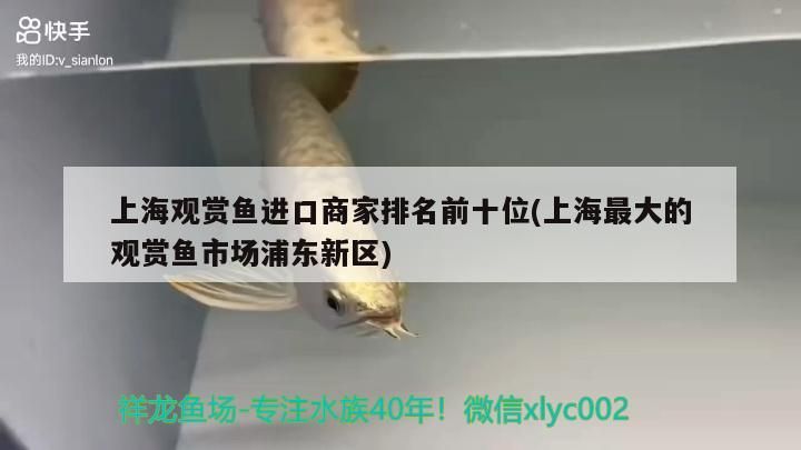 上海觀賞魚進口商家排名前十位(上海最大的觀賞魚市場浦東新區(qū))（上海觀賞魚進口商家排名）