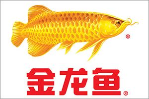 如何維護(hù)帝龍龍魚(yú)過(guò)濾系統(tǒng)（關(guān)于帝龍龍魚(yú)過(guò)濾器的疑問(wèn)）