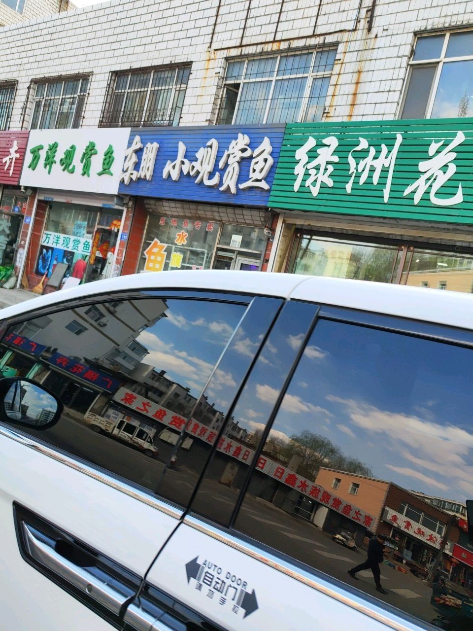 北林區(qū)龍魚（北林區(qū)龍魚養(yǎng)殖技術(shù)）