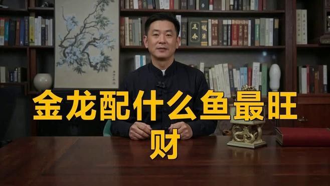 適合和金龍混養的魚（適合與金龍魚混養的魚類）