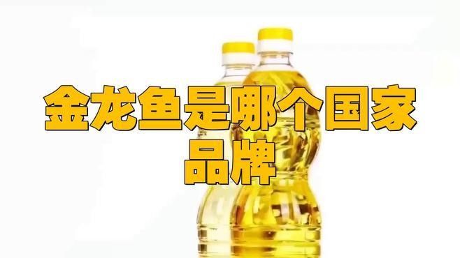 金龍龍魚是哪里的品牌（金龍魚是哪個國家的云課先鋒馮杰頻道金龍魚是哪個國家的云課先鋒）