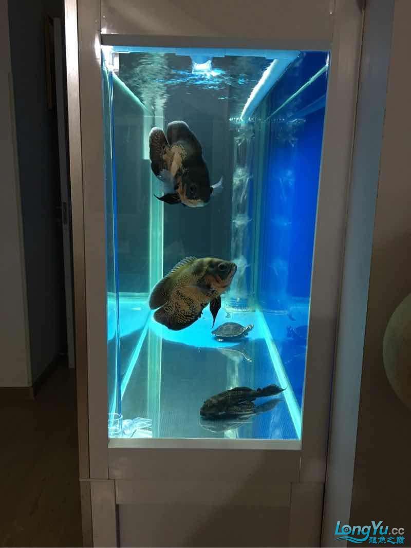 自己改的下慮算不算空氣剛？（“自己改的下慮算不算空氣剛”是否等同于原創(chuàng)性，空氣剛）