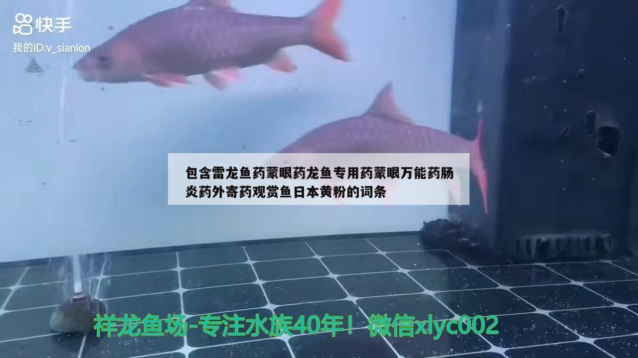 包含雷龍魚藥蒙眼藥龍魚專用藥蒙眼萬(wàn)能藥腸炎藥外寄藥觀賞魚日本黃粉的詞條（雷龍魚專用藥蒙眼萬(wàn)能藥蒙眼萬(wàn)能藥外寄藥觀賞魚日本黃粉）