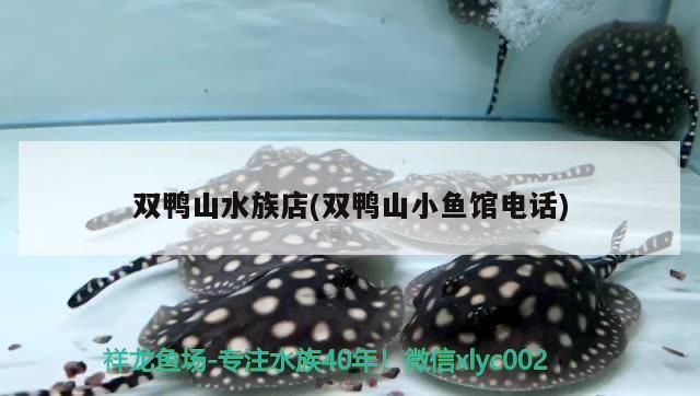 雙鴨山水族店(雙鴨山小魚館電話)（東莞雙鴨山水族館）