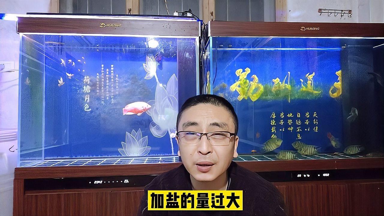 觀賞魚(yú)魚(yú)病的診斷與防治（觀賞魚(yú)魚(yú)病的診斷與防治方法）