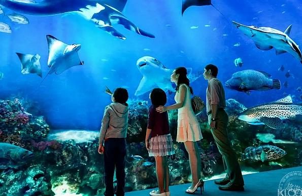 巴彥淖爾水族館