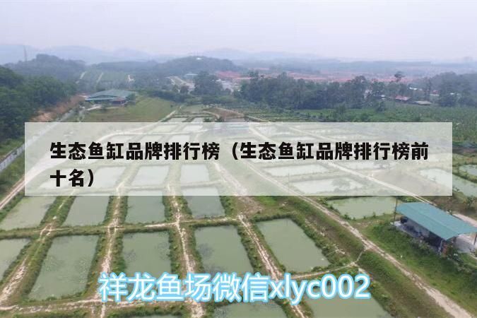 生態(tài)魚缸品牌排行榜（生態(tài)魚缸品牌排行榜前十名）（2020年度中國生態(tài)魚缸行業(yè)十大品牌榜單品牌排行榜）