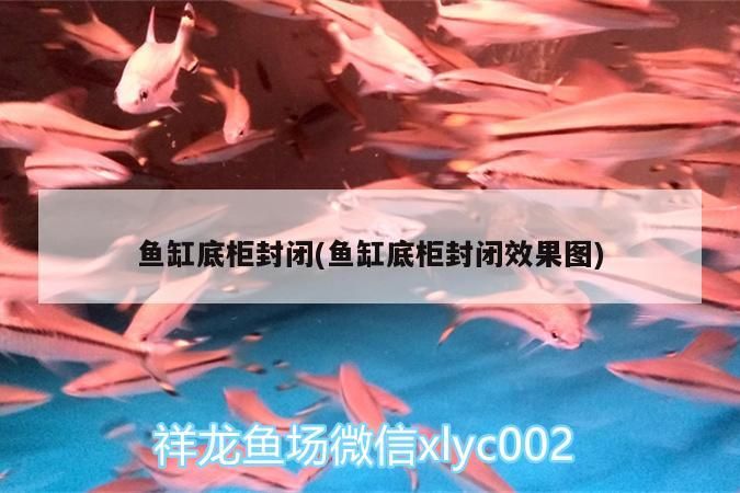 魚缸底柜封閉(魚缸底柜封閉效果圖)（關于魚缸底柜封閉的介紹）