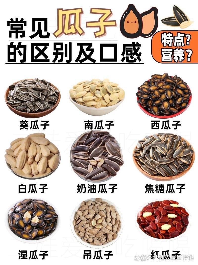 紅丁魚是不是瓜子（紅丁魚和瓜子斑有什么區(qū)別？）
