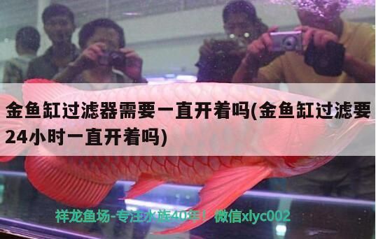 金魚缸過濾器需要一直開著嗎(金魚缸過濾要24小時一直開著嗎)（金魚缸過濾器需要一直開著嗎） 金魚缸過濾器需要一直開著嗎(金魚缸過濾要24小時一直開著嗎)（金魚缸過濾器需要一直開著嗎） 觀賞魚百科