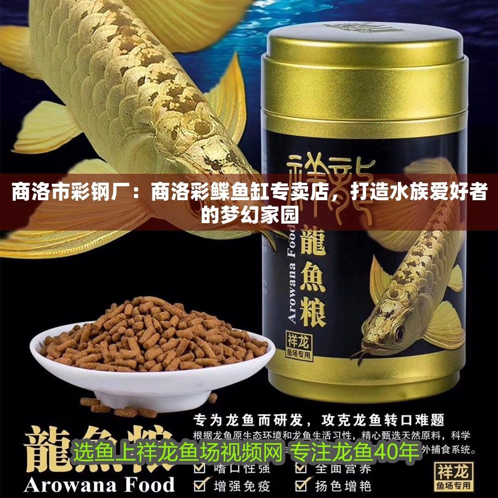 商洛市彩鋼廠：商洛彩鰈魚缸專賣店，打造水族愛好者的夢幻家園（商洛彩鰈魚缸專賣店）