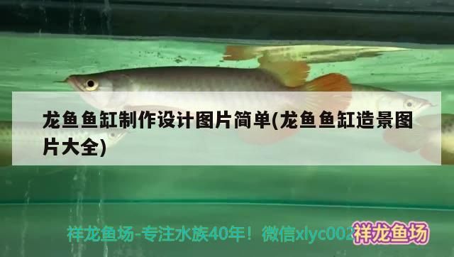 龍魚魚缸制作設計圖片簡單(龍魚魚缸造景圖片大全)（龍魚魚缸制作與設計）