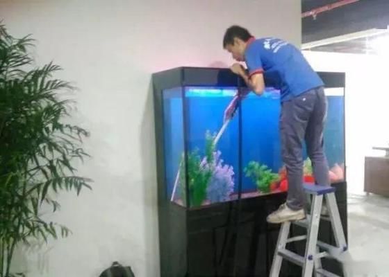 鞍山魚缸廠家（鞍山魚缸廠家電話）（鞍山魚缸廠家哪家好）