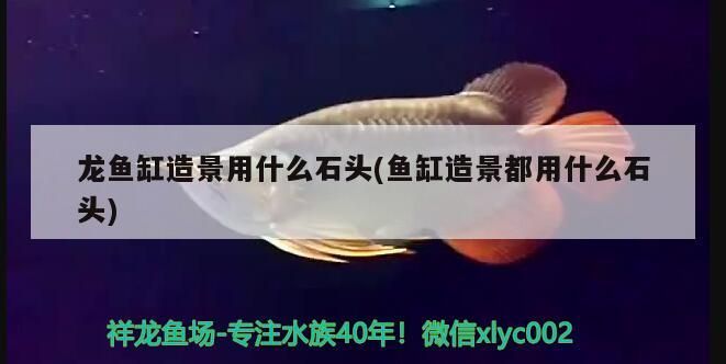 龍魚缸造景用什么石頭(魚缸造景都用什么石頭)（魚缸造景用什么石頭）