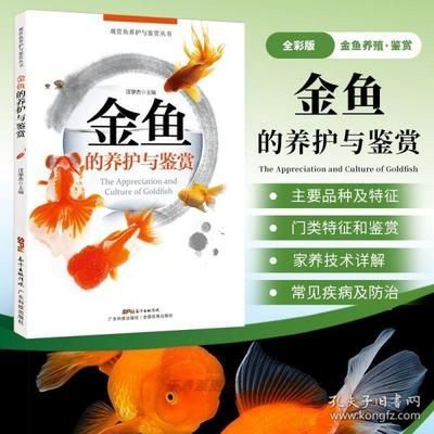 比較溫和的觀賞魚有哪些（常見觀賞魚種類）